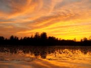 Okefenokee Swamp At Sunset 